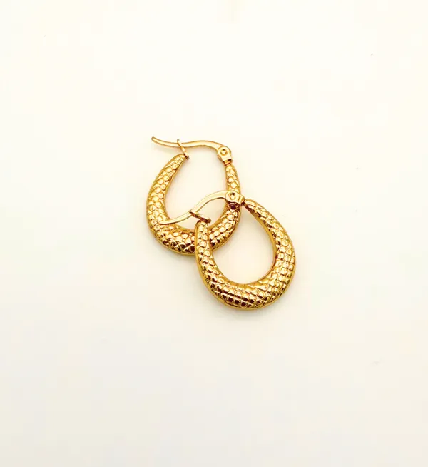 Gold_Plated_Stainless_Steel_Textured_Hoops_Earrings_For_Women