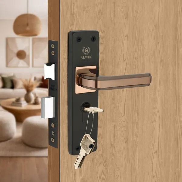 Iron_Home_Lock_Set_For_Bedroom_Doors