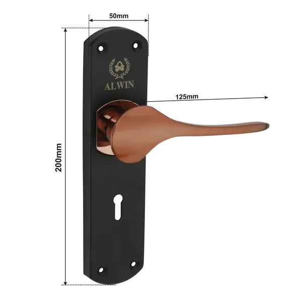 Iron_Home_Lock_Set_For_Main_Doors