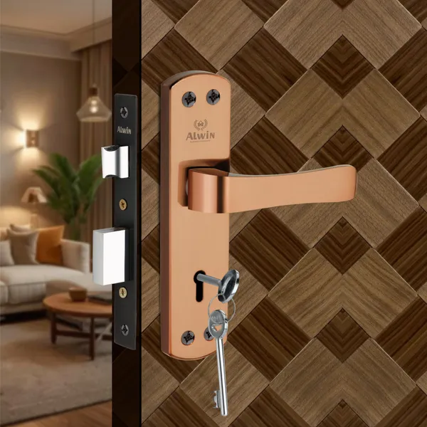 Iron_Home_Lock_Set_For_Residential_Doors