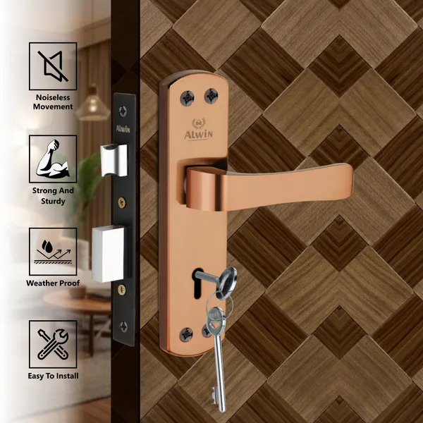 Iron_Home_Lock_Set_For_Residential_Doors