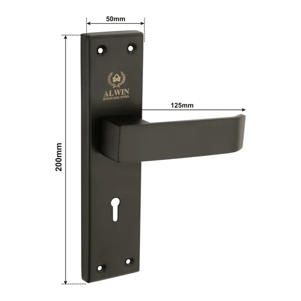 Stainless_Steel_Home_Lock_Set_For_Main_Doors