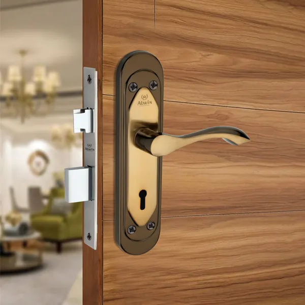Iron_Home_Lock_Set_For_Bedroom_Doors