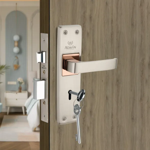 Iron_Home_Lock_Set_For_Residential_Doors