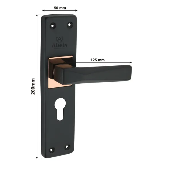 Iron_Home_Lock_Set_For_Bedroom_Doors