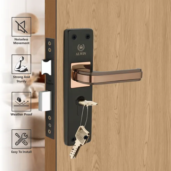 Iron_Home_Lock_Set_For_Bedroom_Doors