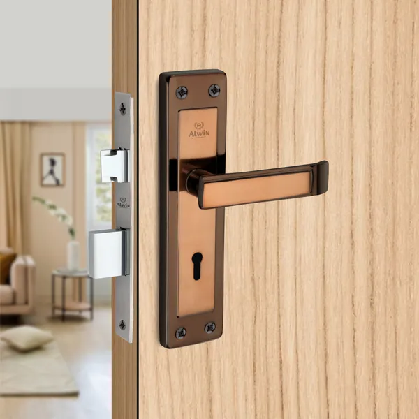 Iron_Home_Lock_Set_For_Residential_Doors