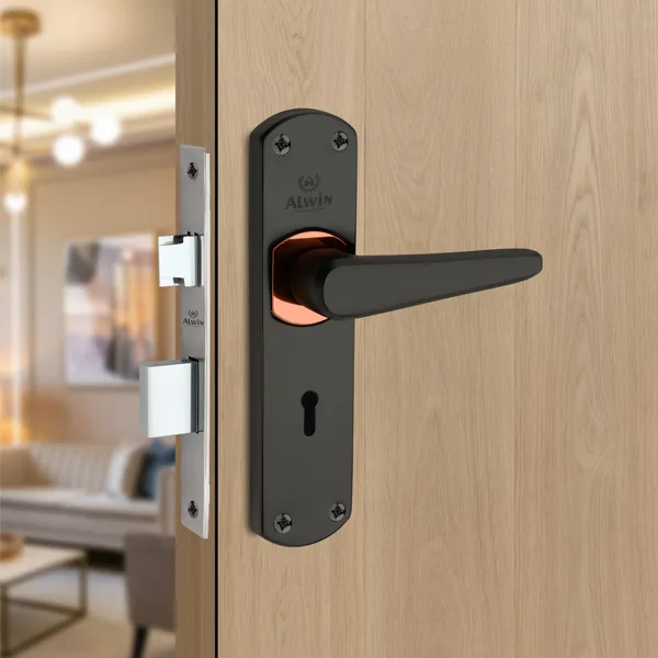 Iron_Home_Lock_Set_For_Residential_Doors