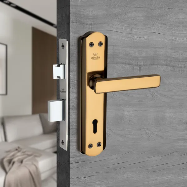 Iron_Home_Lock_Set_For_Residential_Doors