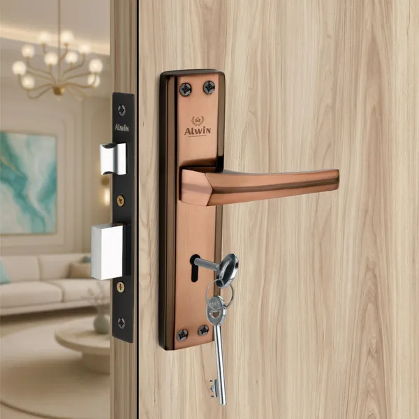Iron_Home_Lock_Set_For_Residential_Doors