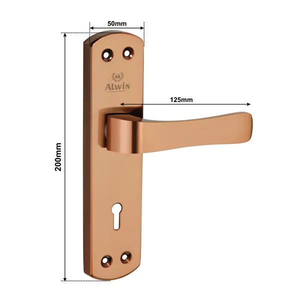 Iron_Home_Lock_Set_For_Residential_Doors
