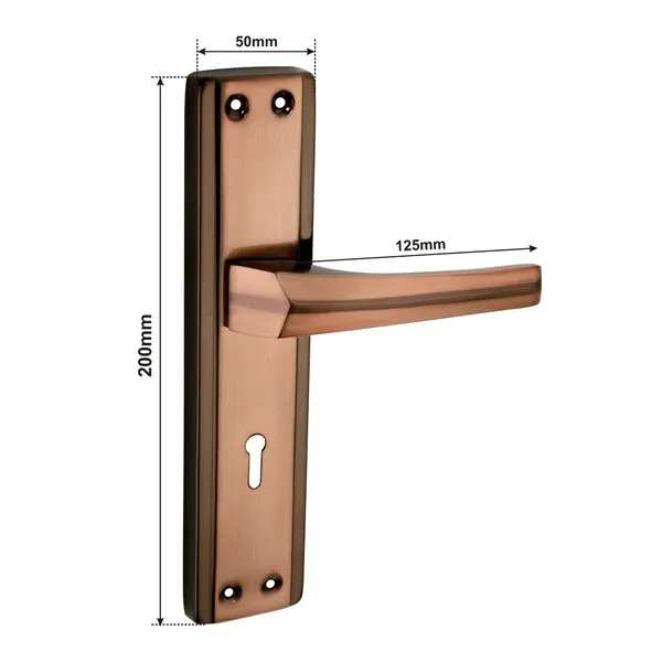 Iron_Home_Lock_Set_For_Residential_Doors