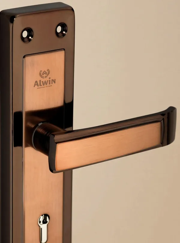 Iron_Home_Lock_Set_For_Residential_Doors