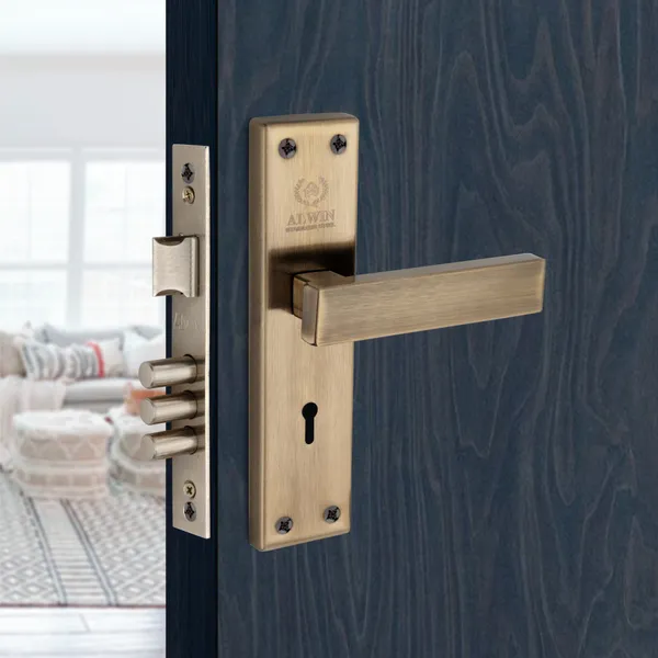 Stainless_Steel_Home_Lock_Set_For_Residential_Doors