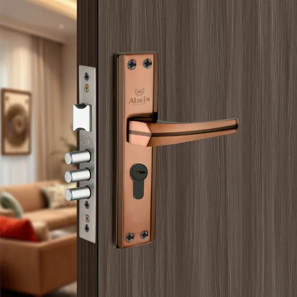 Iron_Home_Lock_Set_For_Bedroom_Doors