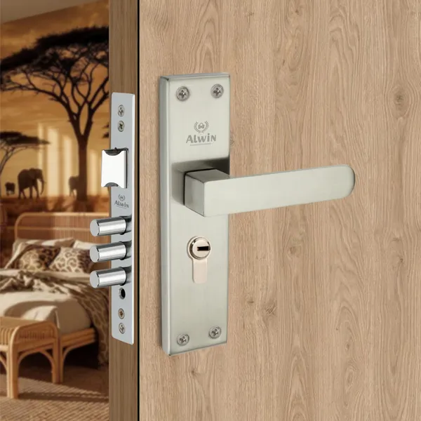 Stainless_Steel_Home_Lock_Set_For_Residential_Doors
