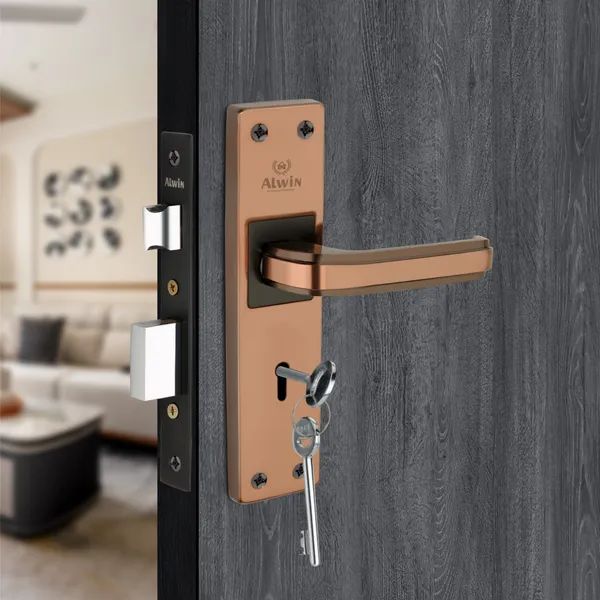 Iron_Home_Lock_Set_For_Bedroom_Doors