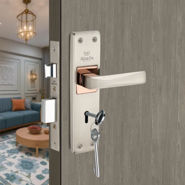 Iron_Home_Lock_Set_For_Modern_Doors