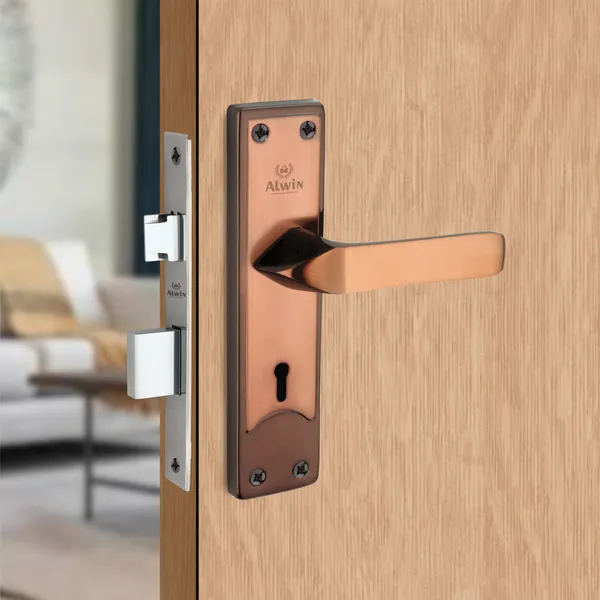 Iron_Home_Lock_Set_For_Residential_Doors