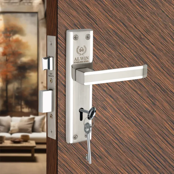 Stainless_Steel_Home_Lock_Set_For_Main_Doors