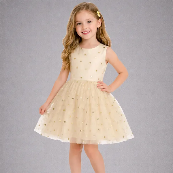 The_Golden_Stardust_Tulle_Dress