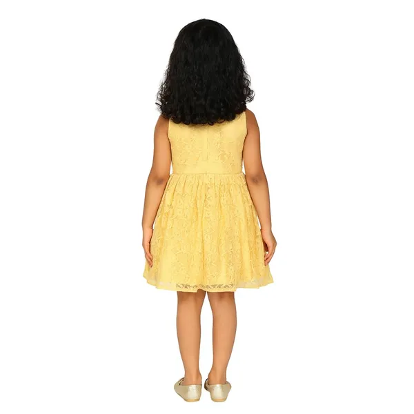 Yellow_Premium_Fit_&_Flare_Lace_Dress_For_Kids