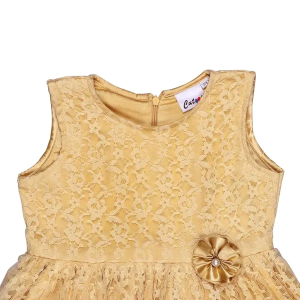 Yellow_Premium_Fit_&_Flare_Lace_Dress_For_Kids