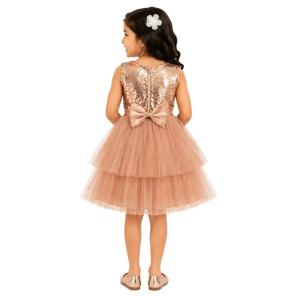 Rose_Pink_Sequence_Dress