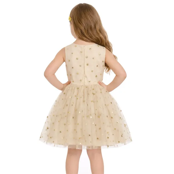 The_Golden_Stardust_Tulle_Dress