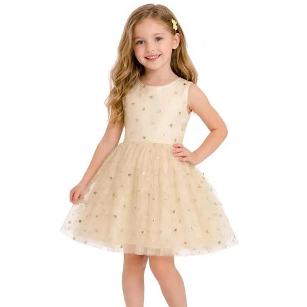 The_Golden_Stardust_Tulle_Dress