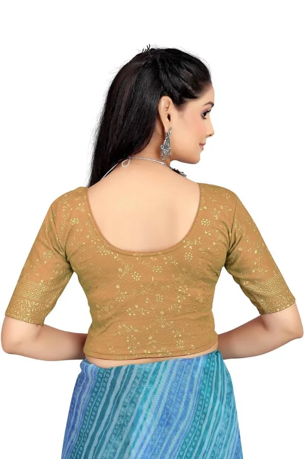 Green_&_Golden_Velvet_Premium_Fancy_Blouse_For_Women_(Pack_Of_2)