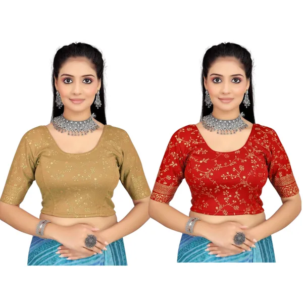 Red_&_Golden_Velvet_Premium_Fancy_Blouse_For_Women_(Pack_Of_2)