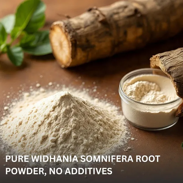 Pure_Herb_Premium_Ashwagandha_Powder_by_Alchemy_Ayurcare_–_Withania_Somnifera_Root_–_Natural_Stress_Relief,_Energy_&_Vitality_Support_–_Ayurvedic_Herbal_Supplement_–_100gm