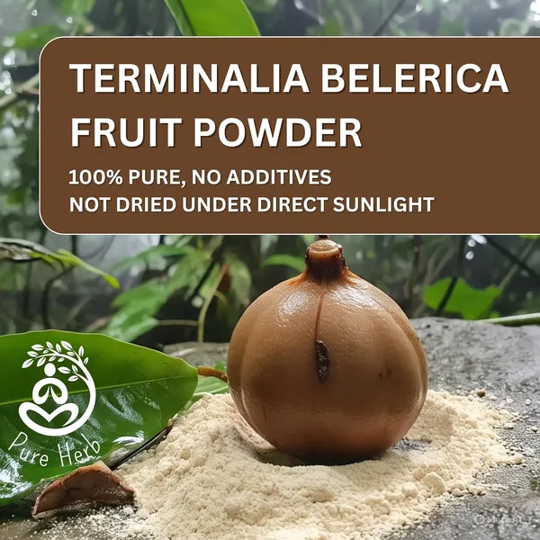 Pure_Herb_Baheda_Powder_by_Alchemy_Ayurcare–_100%_Natural_Terminalia_Bellirica_for_Digestion_&_Detox_–_150g