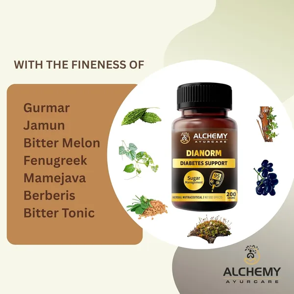 DIANORM_Herbal_Powder_by_Alchemy_Ayurcare_–_Natural_Blood_Sugar_Support_Supplement_–_Ayurvedic_Formula_for_Diabetes_Care_-Sugar_Balance_&_Metabolism_Support-200gm