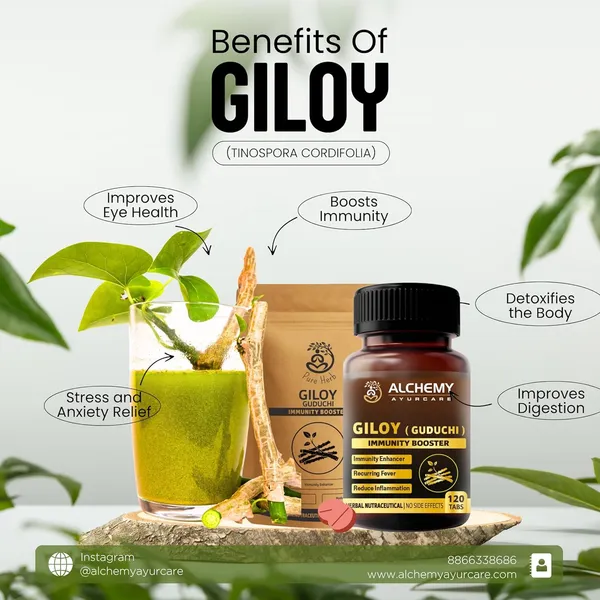 Giloy_Extract_Tablets_by_Alchemy_Ayurcare_-_1000_mg_Tinospora_(Guduchi)_Per_Serving–_Immunity_Booster_&_Detox-_Ayurvedic_Antioxidant_Support_for_Recurring_Fever,_Cough_&_Wellness_–_120_Vegan_Tablets