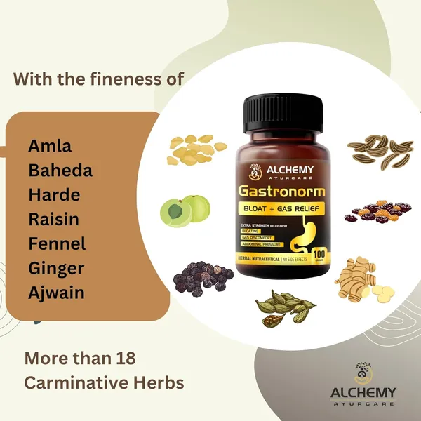 GASTRONORM_BY_ALCHEMY_AYURCARE_|_Gas_and_Bloating_Relief_Powder_Supplement,_Digestive_Support_I_Best_Solution_for_Indigestion_and_Gas_Problems_(Pack_of_250grams_granules)