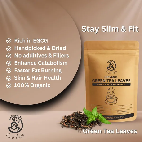 Pure_Herb_Organic_Green_Tea_Leaves_–_Whole_Loose_Leaf_|_Antioxidant-Rich_Metabolism_Booster,|_Premium_Handpicked_Leaves_by_Alchemy_Ayurcare_100g