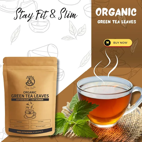 Pure_Herb_Organic_Green_Tea_Leaves_–_Whole_Loose_Leaf_|_Antioxidant-Rich_Metabolism_Booster,|_Premium_Handpicked_Leaves_by_Alchemy_Ayurcare_100g