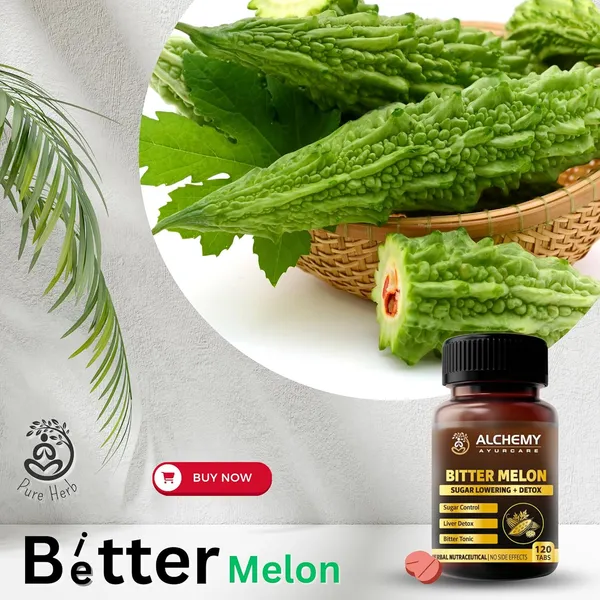 Bitter_Melon_Extract_Tablets_by_Alchemy_Ayurcare_–_1000mg_Potent_Momordica_Charantia_–_Natural_Blood_Sugar_Support_Supplement_–_Glucose_Metabolism_&_Detox_–_120_Vegan_Tablets_–_Non-GMO
