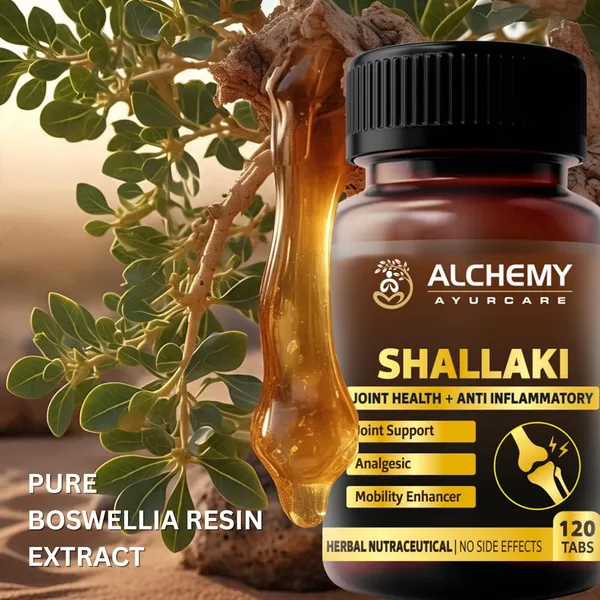Shallaki_Extract_Tablets_by_Alchemy_Ayurcare_|_1000mg_Boswellia_Serrata_Per_Serving_|_Joint_&_Bone_Support_|_Anti-Inflammatory,_Ayurvedic_Pain_Relief_Supplement_120_Vegan_Tablets