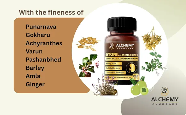 Stonil_(Ashmari_Har_Powder)_by_Alchemy_Ayurcare_–_Herbal_Supplement_for_Kidney_&_Gallbladder_Stone_Support_–_Natural_Detox_Cleanse_–_200g_–_Ayurvedic_Formula