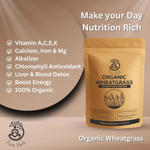 Pure_Herb_Organic_Wheatgrass_Powder_By_Alchemy_Ayurcare_–_Raw_&_Pure_|_Natural_Detoxifier_&_Energy_Booster_150_gm_Pack
