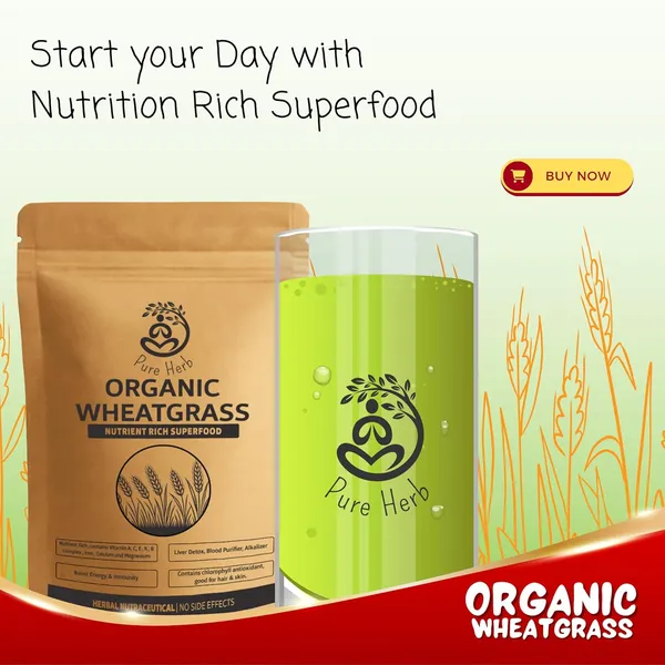 Pure_Herb_Organic_Wheatgrass_Powder_By_Alchemy_Ayurcare_–_Raw_&_Pure_|_Natural_Detoxifier_&_Energy_Booster_150_gm_Pack