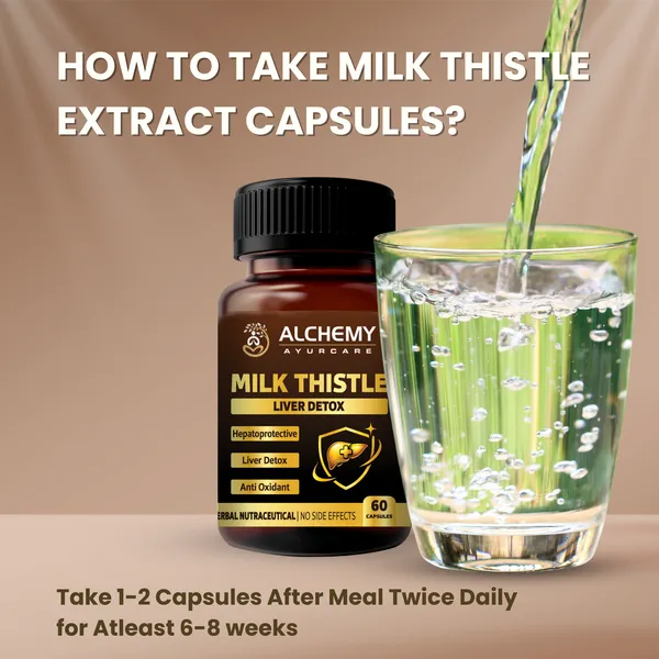 Milk_Thistle_Silymarin_Extract_Capsules_500mg_by_Alchemy_Ayurcare_|_Liver_Detox_&_Liver_Support_|_Herbal_Supplement_for_Fatty_Liver_|_60_Veg_Capsules