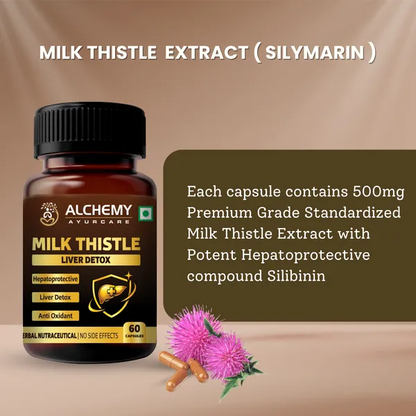 Milk_Thistle_Silymarin_Extract_Capsules_500mg_by_Alchemy_Ayurcare_|_Liver_Detox_&_Liver_Support_|_Herbal_Supplement_for_Fatty_Liver_|_60_Veg_Capsules