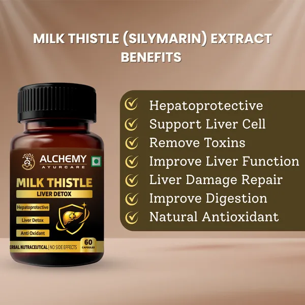 Milk_Thistle_Silymarin_Extract_Capsules_500mg_by_Alchemy_Ayurcare_|_Liver_Detox_&_Liver_Support_|_Herbal_Supplement_for_Fatty_Liver_|_60_Veg_Capsules