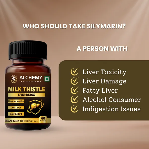 Milk_Thistle_Silymarin_Extract_Capsules_500mg_by_Alchemy_Ayurcare_|_Liver_Detox_&_Liver_Support_|_Herbal_Supplement_for_Fatty_Liver_|_60_Veg_Capsules