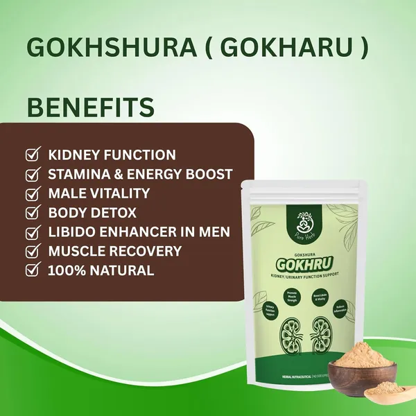 Pure_Herb_Premium_Gokharu_Powder_By_Alchemy_Ayurcare_|_100%_Pure_&_Natural_Tribulus_terrestris_|_Supports_Strength,_Stamina_&_Vitality_|_Herbal_Testosterone_&_Muscle_Support_|_100g
