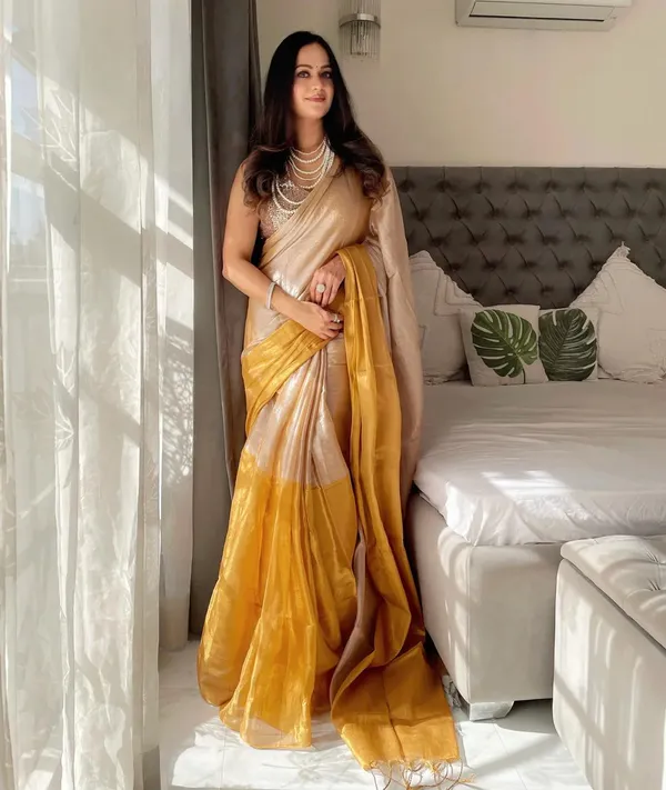 Plain_Bollywood_Tissue_Saree